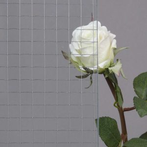 Drahtspiegelglas